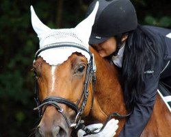 dressage horse Inferno (Belgian Warmblood, 2008, from In Flagranti)