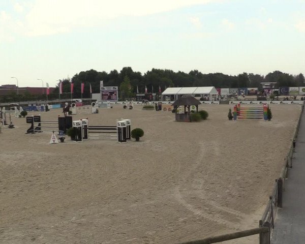 Gold +Cyclus Jonge Paarden in Lier (BEL) 2020