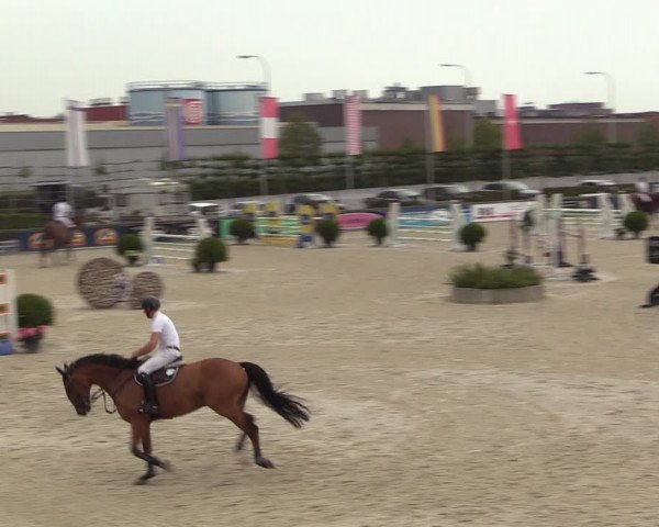 Gold +Cyclus Jonge Paarden in Lier (BEL) 2020