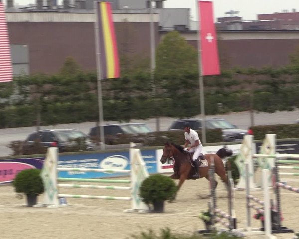 Gold +Cyclus Jonge Paarden in Lier (BEL) 2020