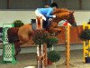 jumper Zentis (German Riding Pony, 2004, from Rambo)