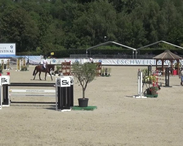 FEI Reitturnier Eschweiler (GER) 2020