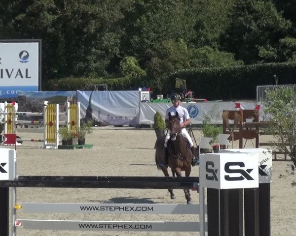 FEI Reitturnier Eschweiler (GER) 2020