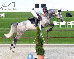 jumper Comteur (Hanoverian, 2009, from Comte)