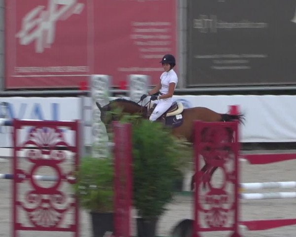 FEI Reitturnier Eschweiler (GER) 2020
