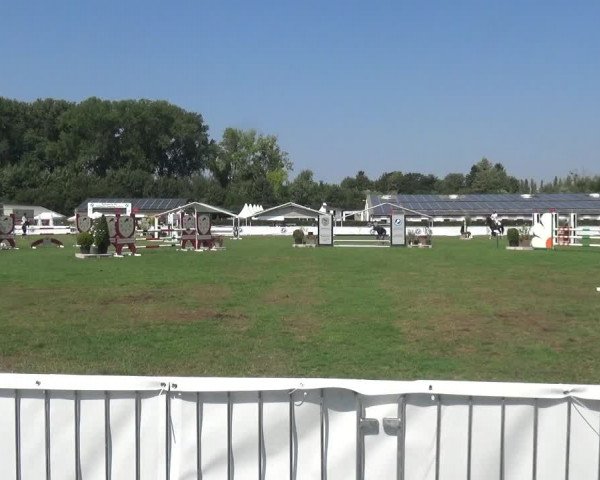 FEI Reitturnier Eschweiler (GER) 2020