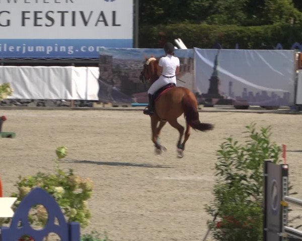 FEI Reitturnier Eschweiler (GER) 2020