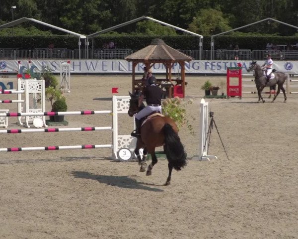 FEI Reitturnier Eschweiler (GER) 2020
