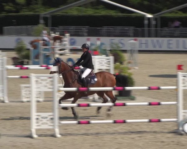 FEI Reitturnier Eschweiler (GER) 2020