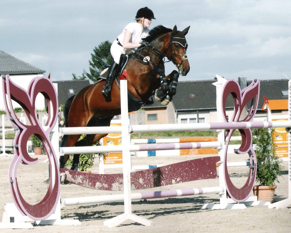 broodmare Laetizia 9 (Westphalian, 2001, from Lamerto H)