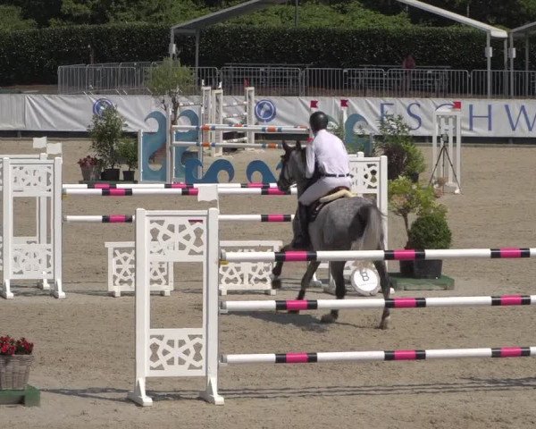FEI Reitturnier Eschweiler (GER) 2020