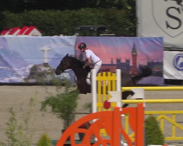 FEI Reitturnier Eschweiler (GER) 2020