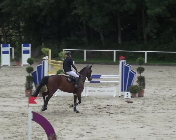 Reitturnier Bergisch Gladbach - Hebborner Hof 2020