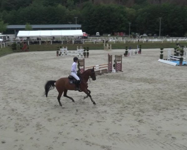 Reitturnier Bergisch Gladbach - Hebborner Hof 2020
