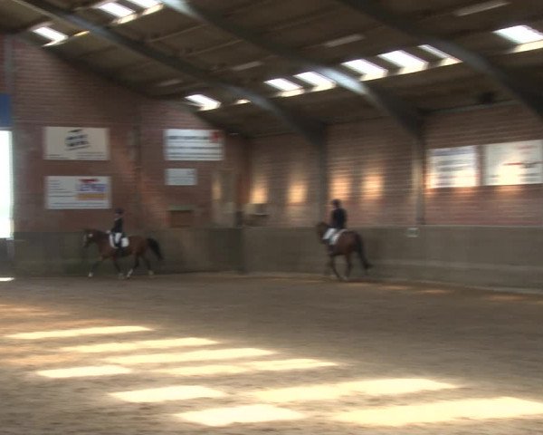 Reitturnier Kirchhoven-Vinn 2020