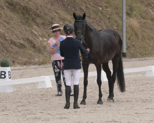 Reitturnier Bübinger Hof 2020