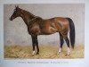 stallion St. Gatien xx (Thoroughbred, 1881, from The Rover xx)