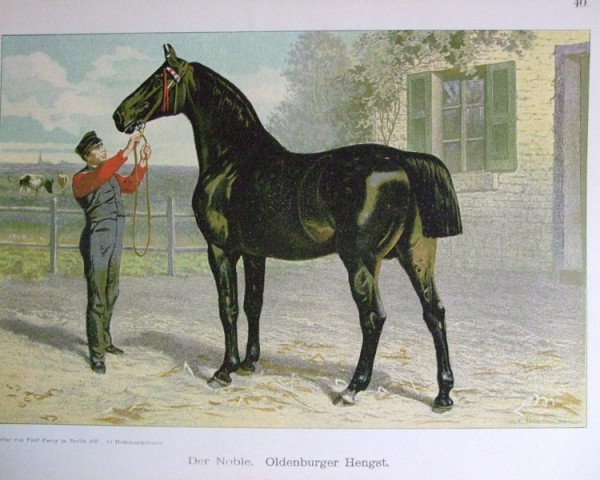 Deckhengst Der Noble 145 (Oldenburger, 1844, von Astonishment xx)