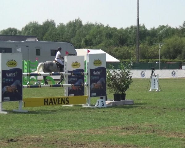 FEI Reitturnier Eschweiler (GER) 2020