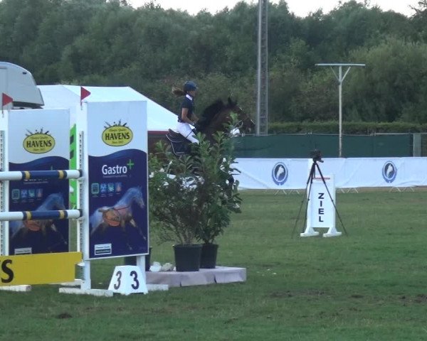 FEI Reitturnier Eschweiler (GER) 2020