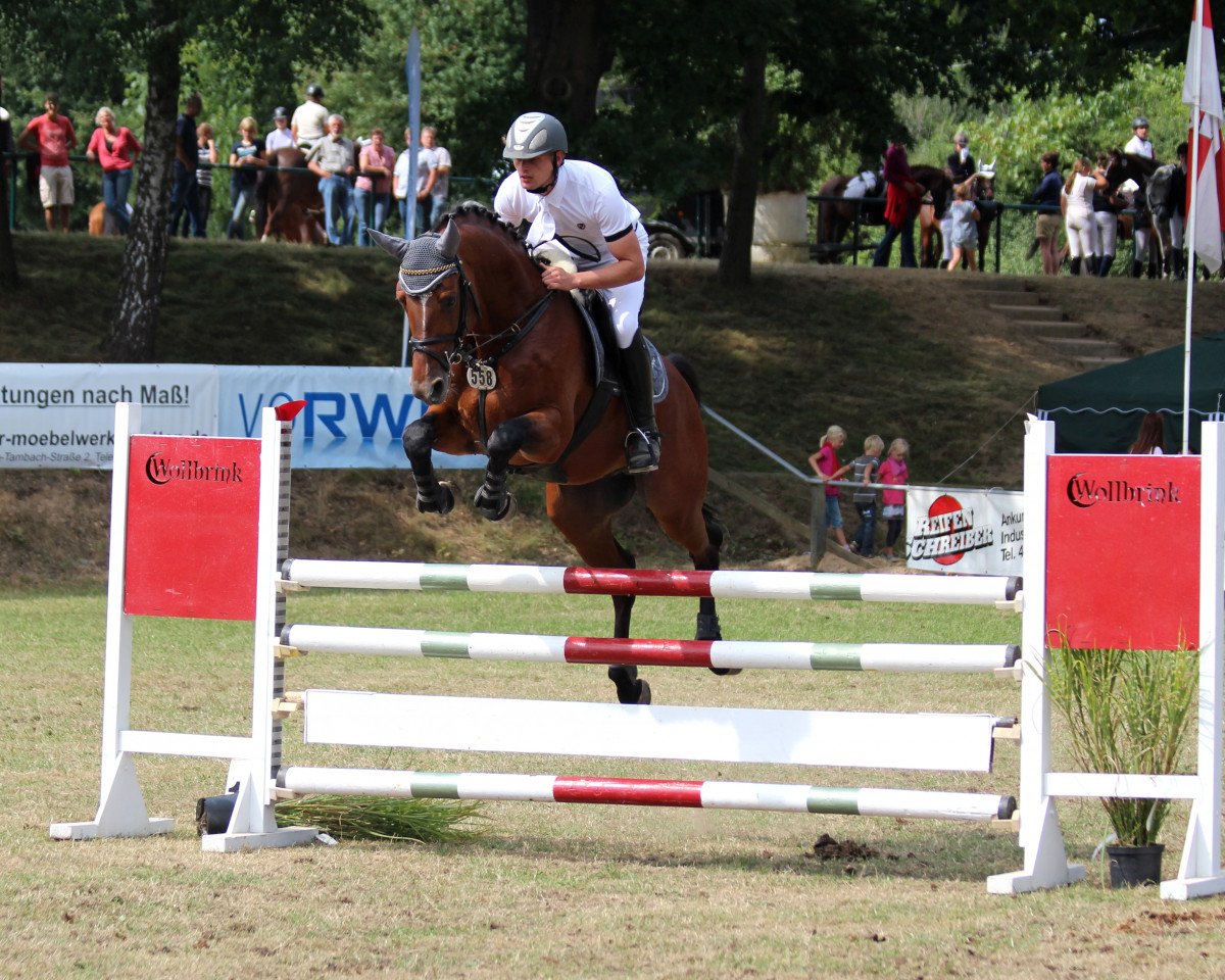 jumper Valdez 13 (Westphalian, 2005, from Vulkano FRH)
