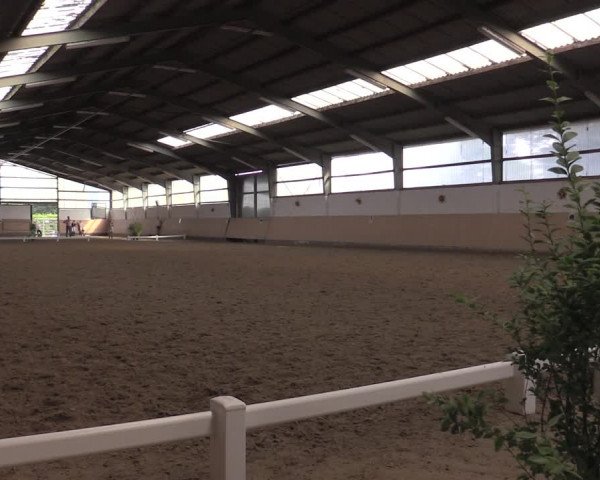 Reitturnier Datteln 2020