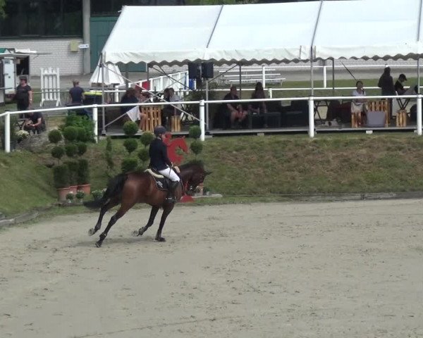 Reitturnier Bergisch Gladbach - Hebborner Hof 2020