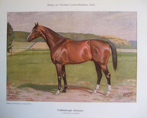 Deckhengst Dolomit xx (Englisches Vollblut, 1909, von Ard Patrick xx)