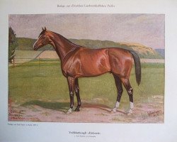 stallion Dolomit xx (Thoroughbred, 1909, from Ard Patrick xx)