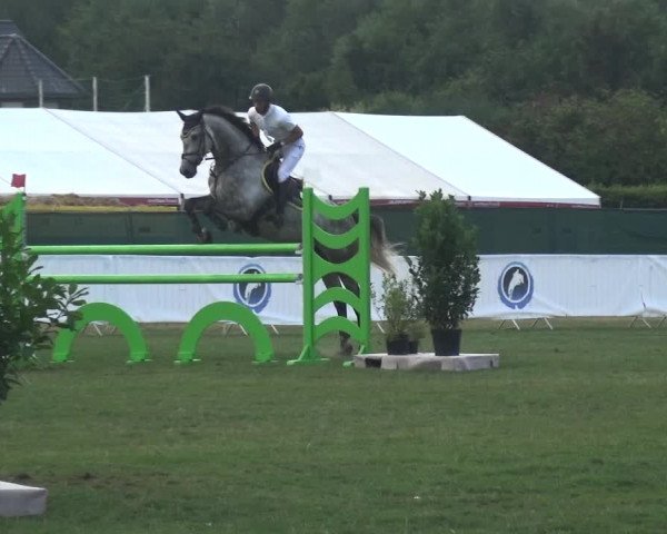 FEI Reitturnier Eschweiler (GER) 2020