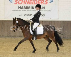 dressage horse Pinoccio 133 (Pony without race description, 2006, from Prometheus B)