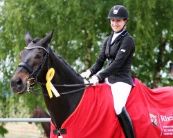 dressage horse Furstengruss (Oldenburg, 2004, from Fürst Heinrich)