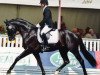 dressage horse Rockhampton 3 (Hanoverian, 2010, from Royal Classic I)