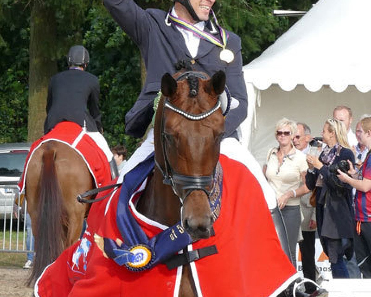 broodmare Fiontini (Danish Warmblood, 2010, from Fassbinder)