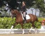 broodmare Felicia (Hanoverian, 2006, from Falsterbo)