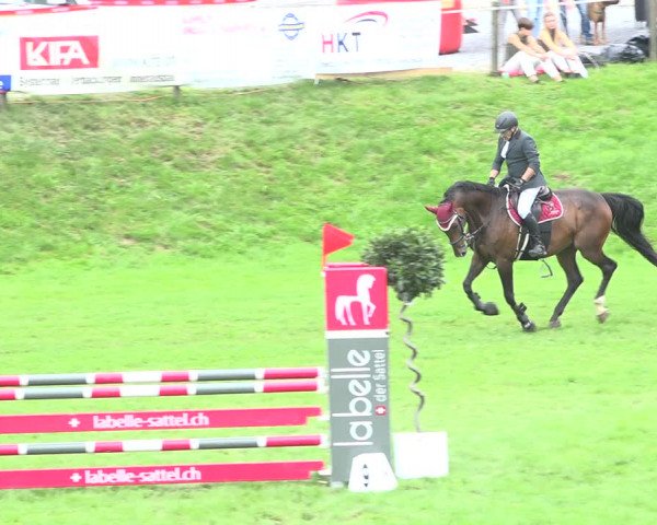 Reitturnier Aadorf 2020