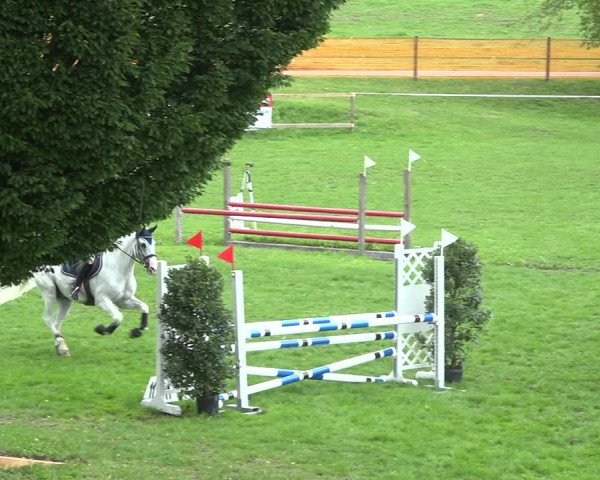 Reitturnier Aadorf 2020