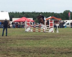 jumper Rubens 151 (Hanoverian, 2008, from Ramiro's Bube)