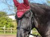 dressage horse Duke 309 (Friese, 2009, from Sipke R)