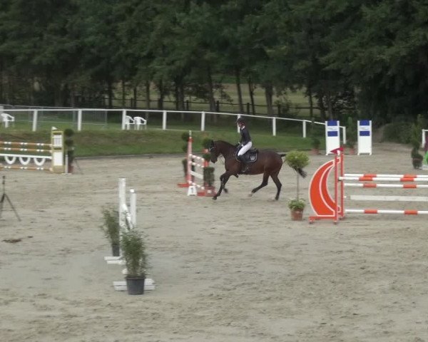 Reitturnier Bergisch Gladbach - Hebborner Hof 2020