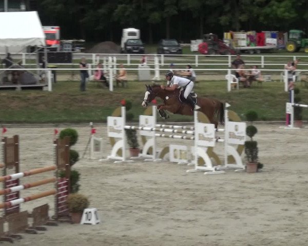 Reitturnier Bergisch Gladbach - Hebborner Hof 2020