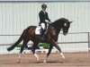 dressage horse Dalissimo (Hanoverian, 2009, from Diamond Hit)