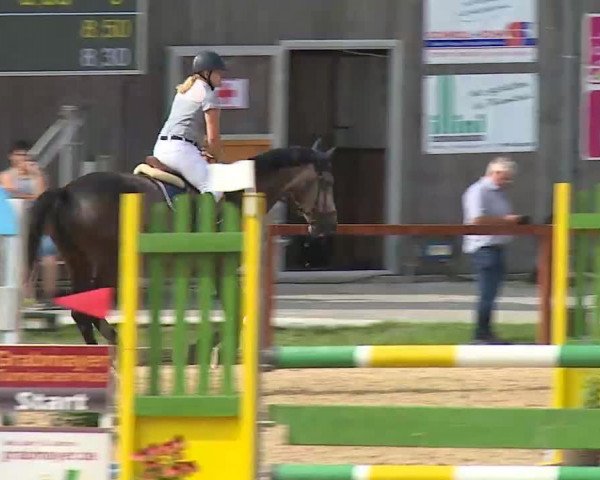 Reitturnier Boxbrunn/Mrf. 2020