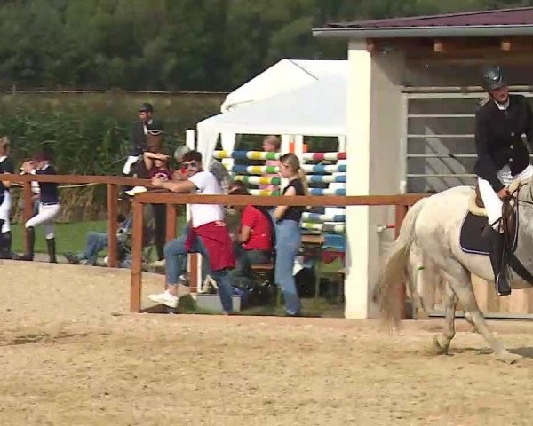 Reitturnier Boxbrunn/Mrf. 2020