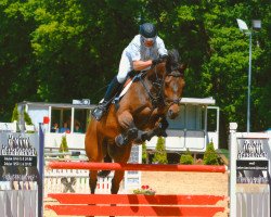 jumper Courage 128 (Hanoverian, 2006, from Contendro I)