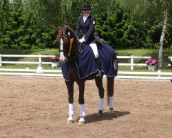 dressage horse Romello 3 (Hanoverian, 2006, from Royal Blend)