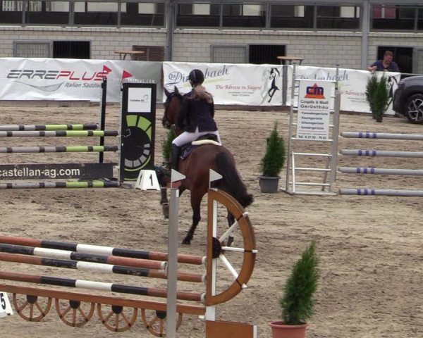 Reitturnier Siegen 2020