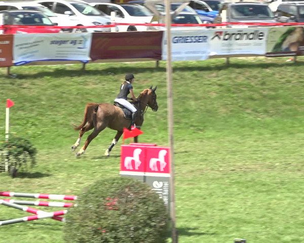 Reitturnier Aadorf 2020