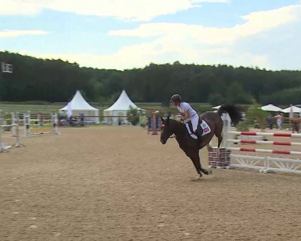 Reitturnier Boxbrunn/Mrf. 2020