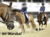 dressage horse Sir Marshal (German Riding Pony, 1994, from Marsvogel xx)